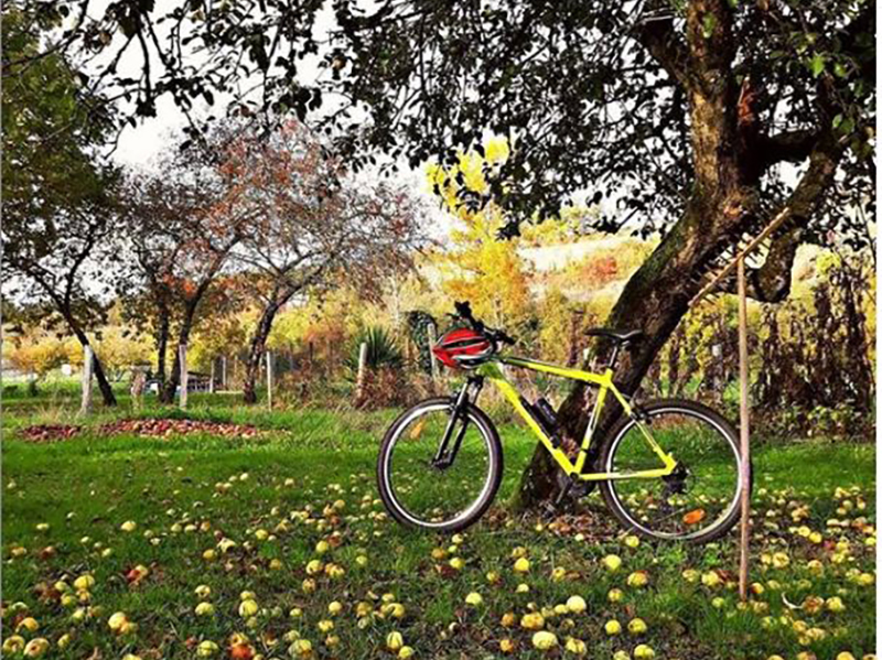 Bike Hire Direct Var