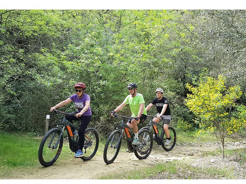 Easy VTT Elec