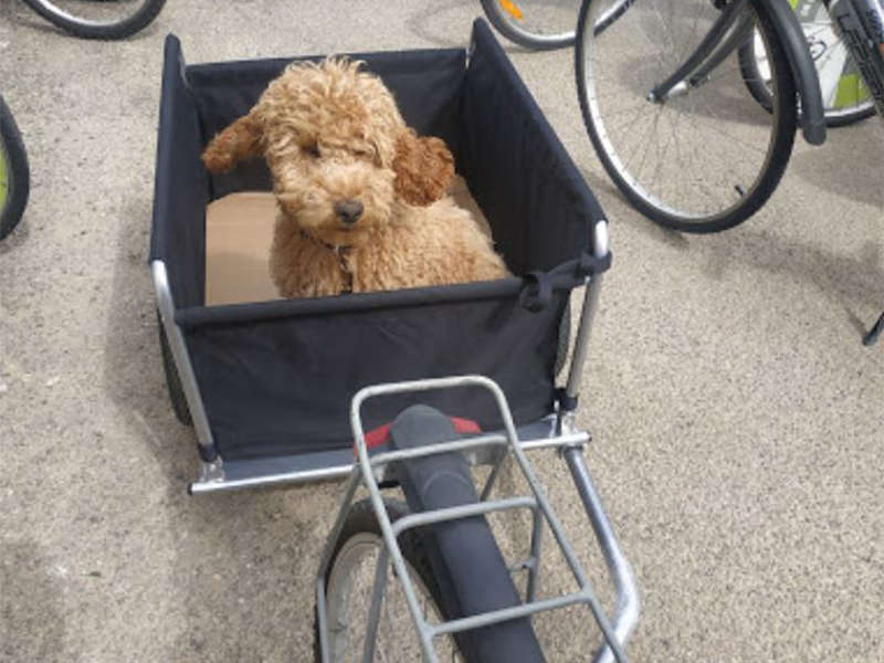 Les vélos du Somail