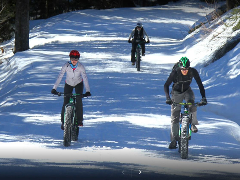 Moon Ebike