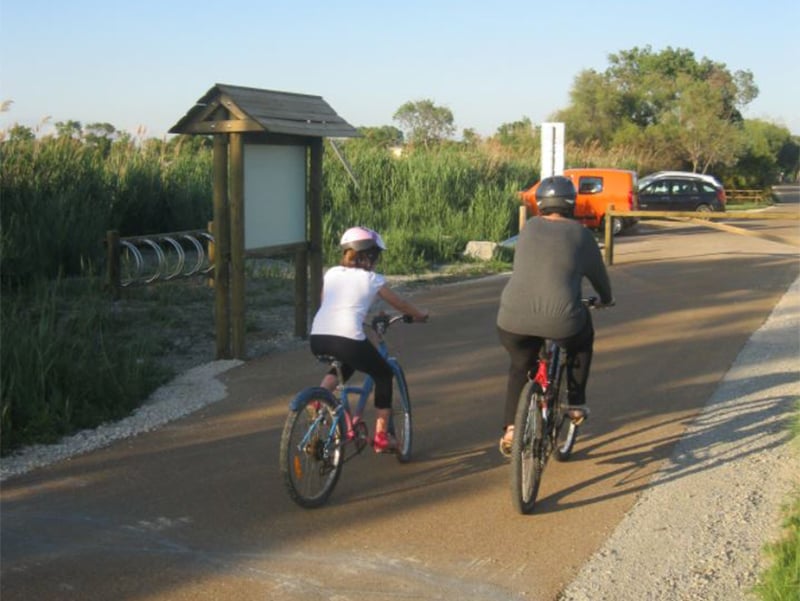 VTT en petite Camargue